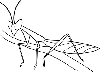 Hidden Praying Mantis on a Branch Vector Drawing for Creative Kids
