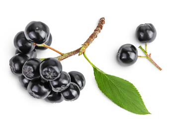 Chokeberry with leaf isolated on white background. Black aronia. Top view. Flat lay