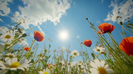 In the foreground, various wildflowers bloom in an open field under the bright sunshine. The sky is blue with white clouds, and there's some lens flare.