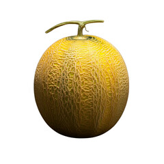 Melon cantaloupe fruit creative layout