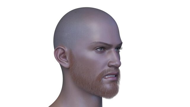 男性の顔アップ　3DCGレンダリング