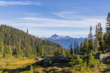Scenic View of Brandywine Meadows in Whistler, British Columbia with Lush Forest and Mountain Peaks