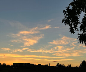 yellow cloudy sunset in forest