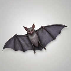 Halloween Bat