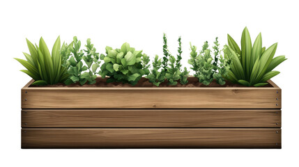 Fresh herbs like parsley and thyme on a wooden background, showcasing the beauty of nature and healthy cooking