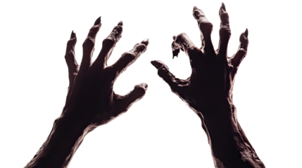 Child and adult hands in silhouette, symbolizing assistance and connection, highlighting a gesture of support and unity