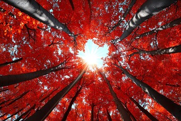 A canopy of red and orange leaves, with sunlight barely breaking through, creating an enchanting and mystical forest atmosphere