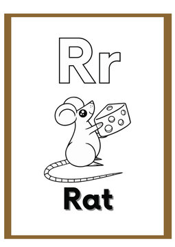 R for Rat
