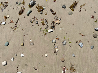 Stones and seaweed in the wet beach sand