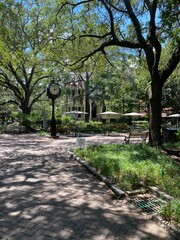 Cofc
