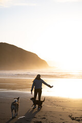 aussie puppy running and a woman on the beach at sunset in the Basque Country