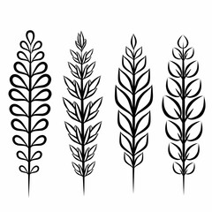 Minimalist botanical graphic sketch drawing, set of isolated floral elements vector illustration, line drawn black and white