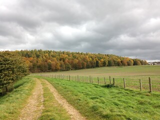 Obraz premium Countryside