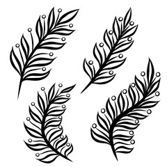 Obraz premium Set of black and white leaves elements vector illustration, minimalist botanical line drawn 