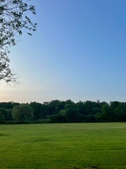field and trees