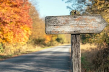 Naklejka premium Autumn Road with Rustic Wooden Signpost and Colorful Foliage - Scenic Direction for Travel, Tourism, and Outdoor Adventures