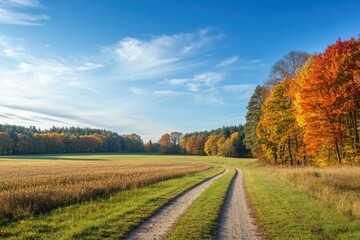 Obraz premium Winding Dirt Road Surrounded by Vibrant Autumn Trees Under a Blue Sky - Scenic Fall Landscape for Travel and Nature Photography