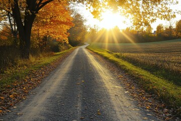 Obraz premium Winding Dirt Road Surrounded by Colorful Autumn Foliage at Sunset - Scenic Fall Landscape for Travel and Outdoor Adventure Marketing