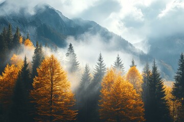 Vibrant Autumn Landscape with Golden Foliage and Misty Mountains - Stunning Fall Nature Photography for Travel, Hiking, Eco-Tourism, and Outdoor Adventures