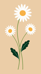 Chamomile. Illustrations of daisy flowers and leaves for frame, border, vintage wedding invitations on craft paper, floral greeting card, flyer or template in elegant trendy style