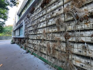 old abandoned building