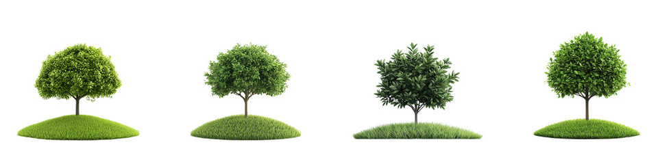Fototapeta premium Four lush trees on green mounds, white isolate background. transparent background