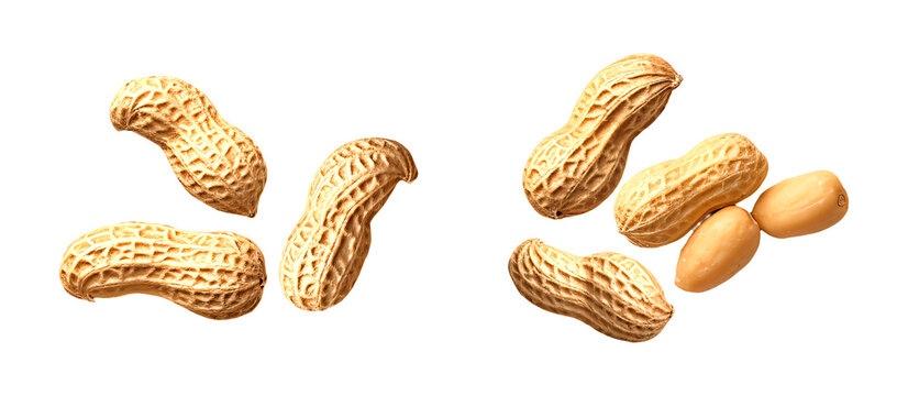 Peanuts in shells and shelled peanuts scattered on transparent background