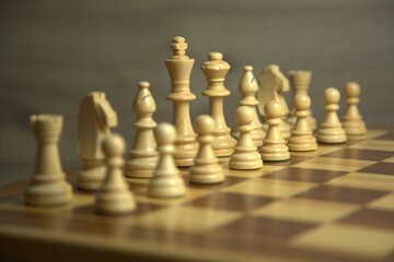 Ajedrez equipo blanco