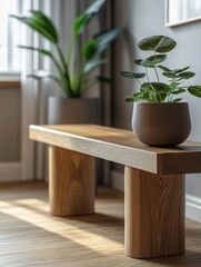 Contemporary Wooden Bench with Wooden Plant Pot