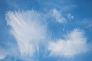 gentle white clouds in the blue sky