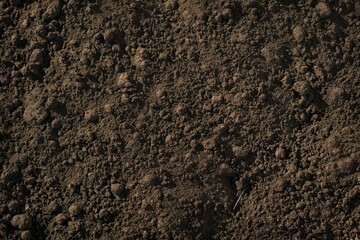 Top view of fertile soil with textured ground surface. Brown, dark colors, compost, humus, manure. Soil structure, pattern, ecological, environmental, eco-friendly, sustainable, natural, organic,
