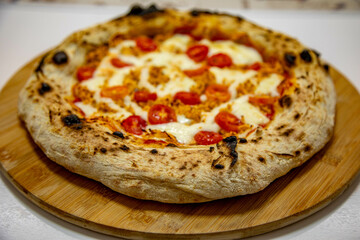 Traditional Brazilian artisan chicken pizza with catupiry cheese. Frango com catupiry