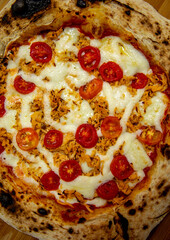 Traditional Brazilian artisan chicken pizza with catupiry cheese. Frango com catupiry