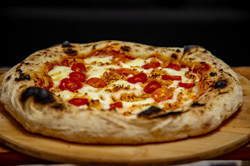 Traditional Brazilian artisan chicken pizza with catupiry cheese. Frango com catupiry
