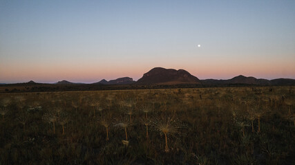 Fototapeta premium field of flowers at sunset with full moon, Campo dos Chuveirinhos, Alto Paraiso de Goias, Brazil, panepalan, cerrado