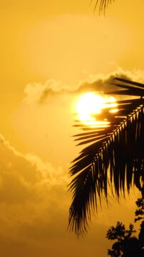 Silhouette of palm tree against orange sunset on beach. Sky and clouds add to tropical day ambiance. Warm hues reflect serene evening atmosphere. Ideal for relaxation and escape