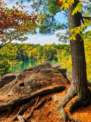 A painting like scene of a tree with changing colours of the season during Fall as orange,yellow and red colours mix with the greens and blues of the lake,forest and sky at Gatineau Park,Quebec,Canada