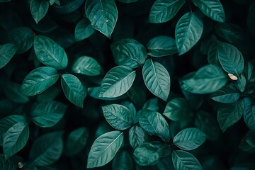 Green Leaves Abstract Nature Background Pattern