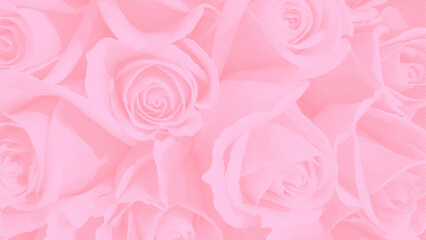 pink roses halftone vector background