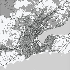 Obraz premium Map of Dunedin in New Zealand in grayscale. Contains layered vector with roads water, parks, etc.