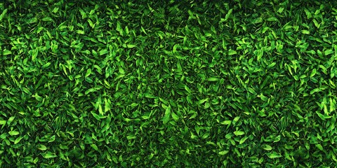Green grass top view background 