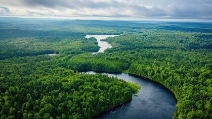 Aerial view of Algonquin park forest in Canada with green trees and a serene river. Lush foliage surrounds the tranquil lake Ontario. Scenic summer landscape with natural beauty and wildlife.