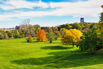 Stunning views of the verdant gardens, contrasting with the yellows and red of the change of seasons to Fall seen here at the scenic Dominion Arboretum,Ottawa,Ontario,Canada 