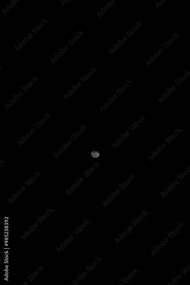 Wall mural full moon isolated on black background. image in high resolution. bright lunar satelite.