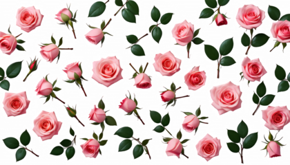  background elegant rose flowers vintage border rose flower floral style art composition elegance frame wedding invitation card greeting vignetting line decorative crayons drawing hand drawn ink