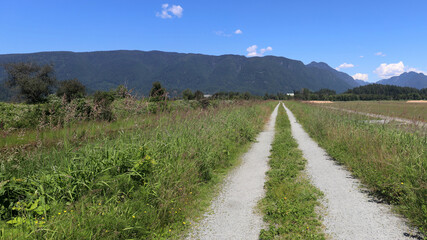 Country road between farm fields