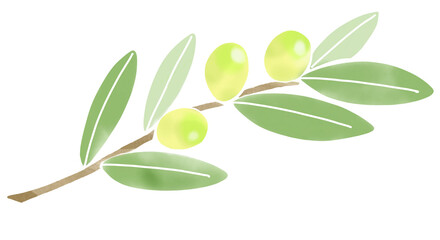 オリーブの葉と実　水彩風イラスト