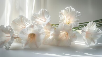 Obraz premium A highly realistic image of an object related to Gladiolus – Contemporary style in a white background design, displayed in a design studio. The scene is well-lit, with natural light highlighting 