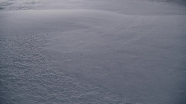 A Minimalistic Winter Scene With Snow Blown By Strong Winds, Reflecting The Harsh Arctic Weather. Climate Change Links Warming Arctic To Colder Winters.