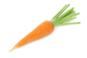 One fresh ripe carrot isolated on white